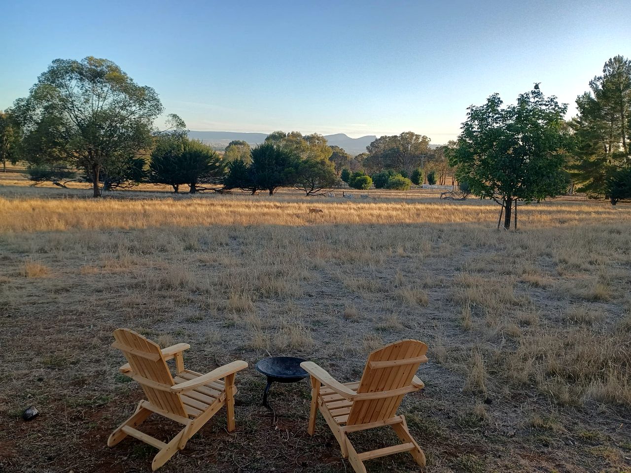 Charming Tiny House Overlooking the Table Top Mountains and Surrounded by Nature in Jindera, New South Wales