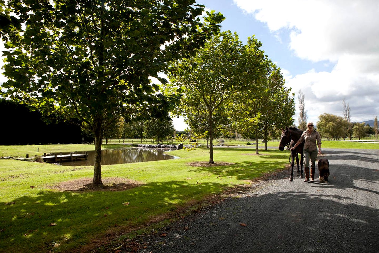 Lovely Holiday Rental on a Welcoming 30-Acre Farm near Auckland, North Island