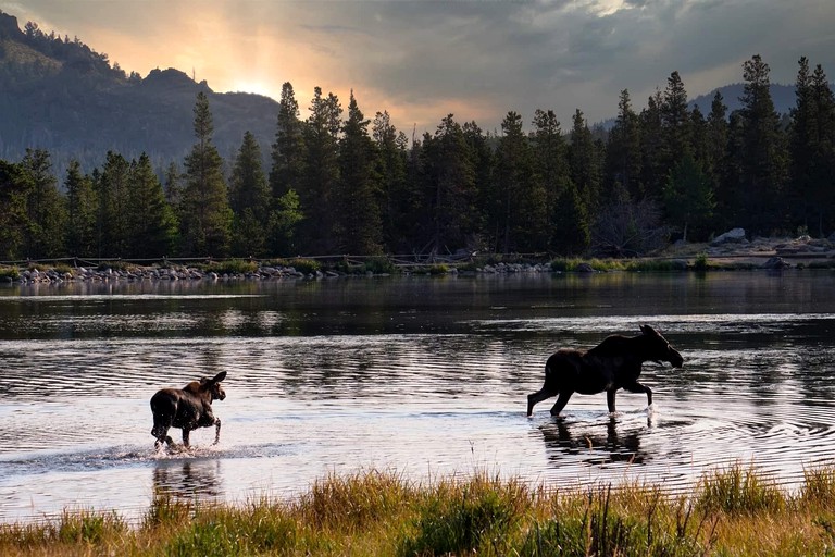 Cabins (United States of America, Estes Park, Colorado)