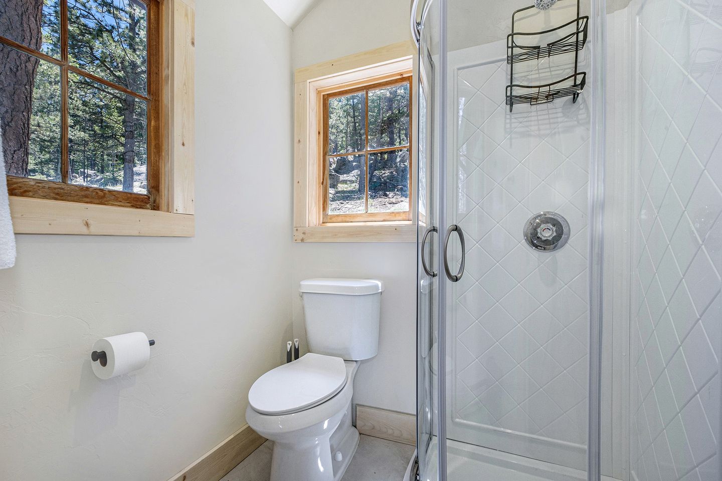 Modern Serene Cabin with Amazing Hiking Trails and Wildlife in Estes Park, Colorado