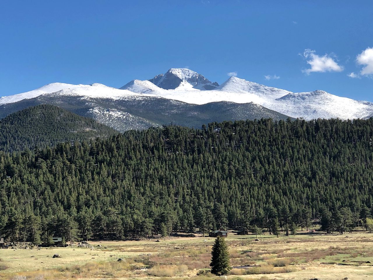 Modern Serene Cabin with Amazing Hiking Trails and Wildlife in Estes Park, Colorado