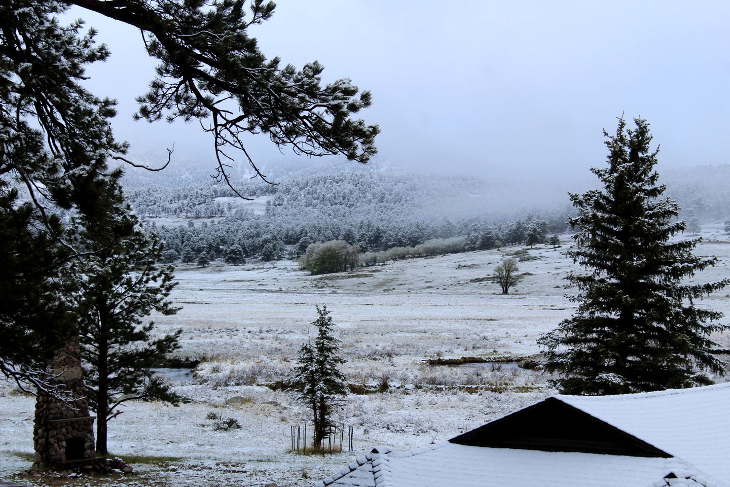 Modern Serene Cabin with Amazing Hiking Trails and Wildlife in Estes Park, Colorado
