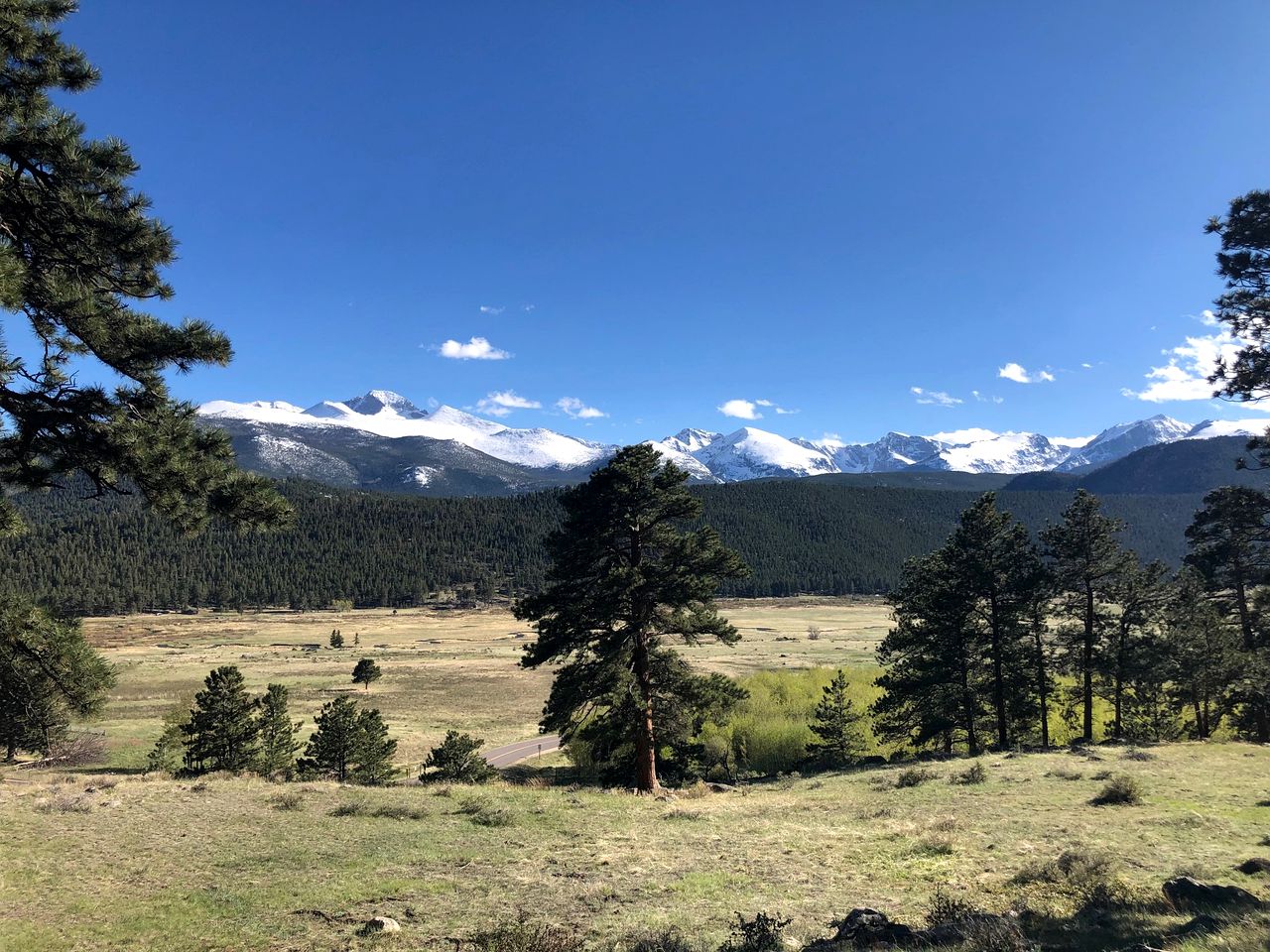 Modern Serene Cabin with Amazing Hiking Trails and Wildlife in Estes Park, Colorado