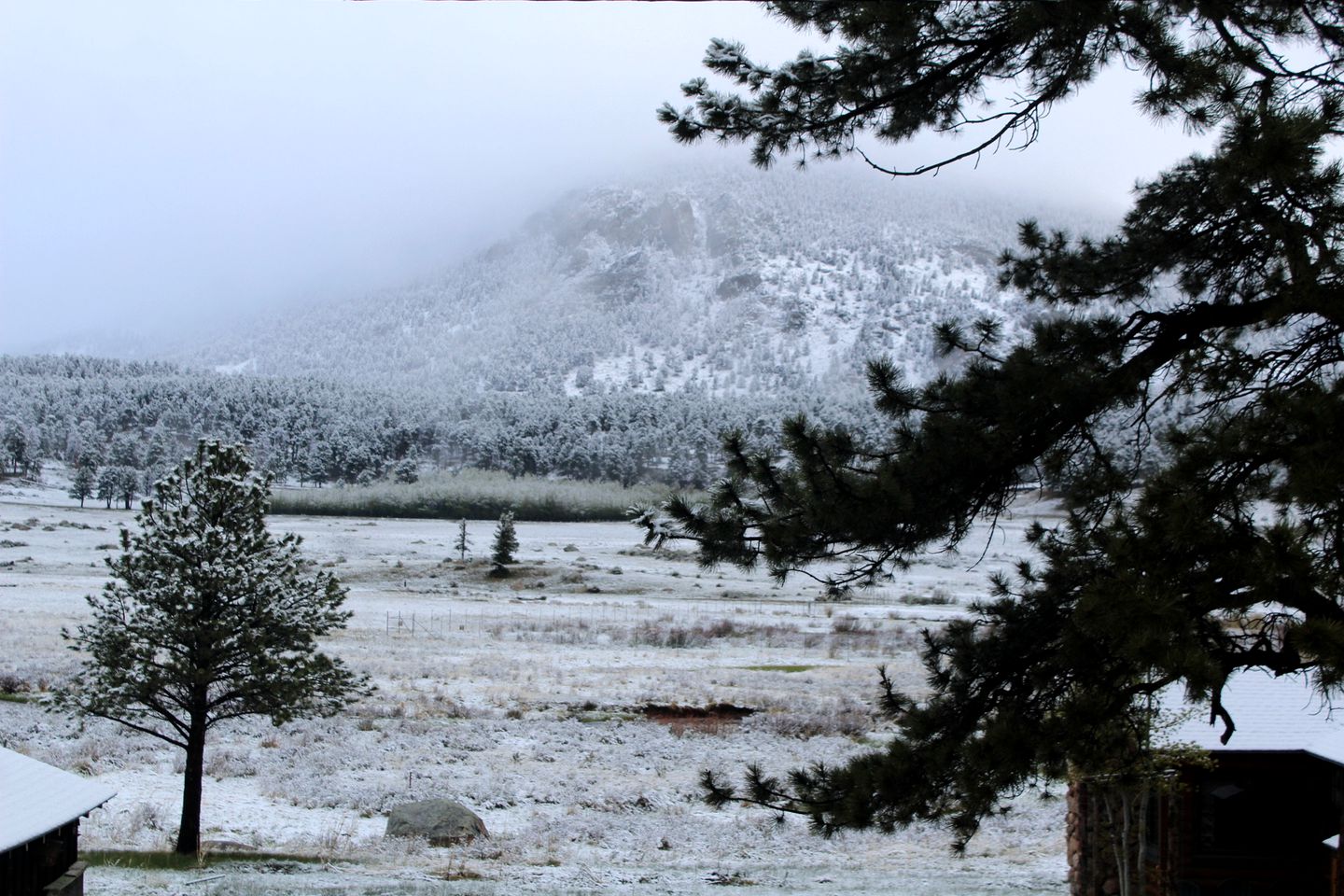 Modern Serene Cabin with Amazing Hiking Trails and Wildlife in Estes Park, Colorado