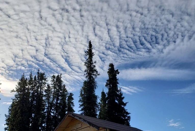Wrangell-St.Elias National Park Glamping Cabin for an Alaskan Outdoor Adventure | Cabins (Nabesna, Alaska, United States of America)
