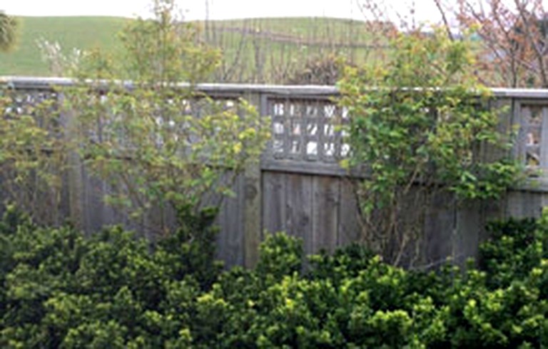 Nature Lodges (Moeraki, South Island, New Zealand)