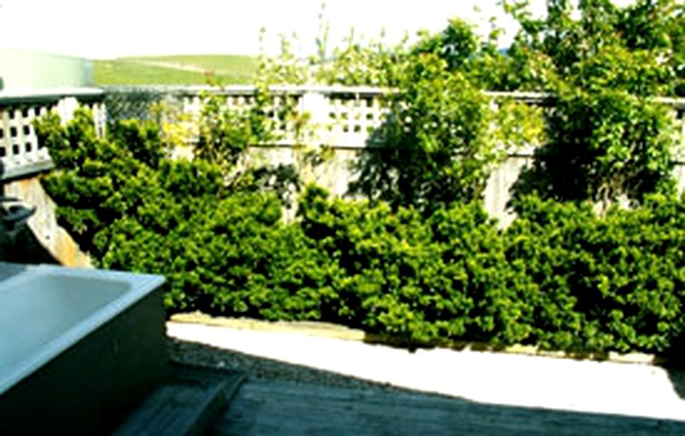 Nature Lodges (Moeraki, South Island, New Zealand)