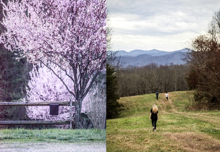 Cabins (Greeneville, Tennessee, United States)