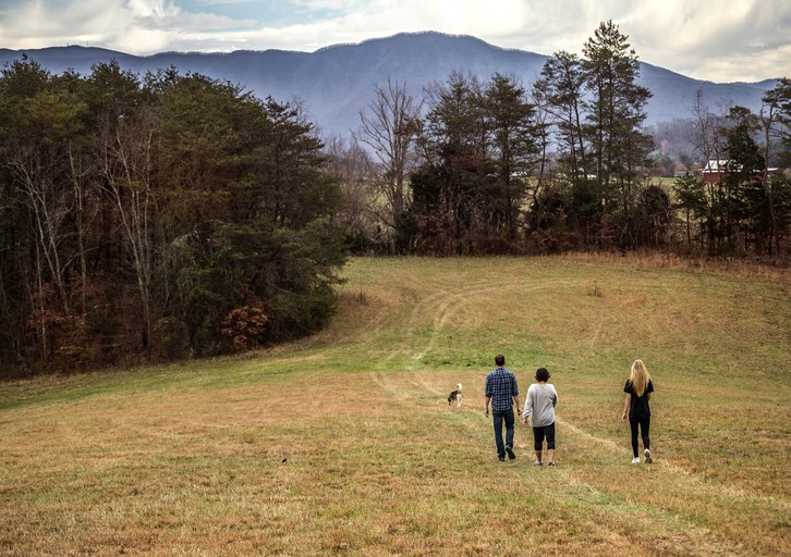 Cabins (Greeneville, Tennessee, United States)