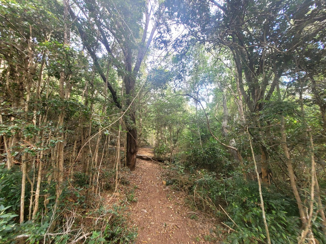 Tiny Glamping in Mount Perry, Ideal to Explore Mount Walsh National Park