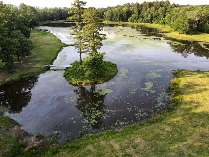 Vacation Rentals (United States of America, --, --)