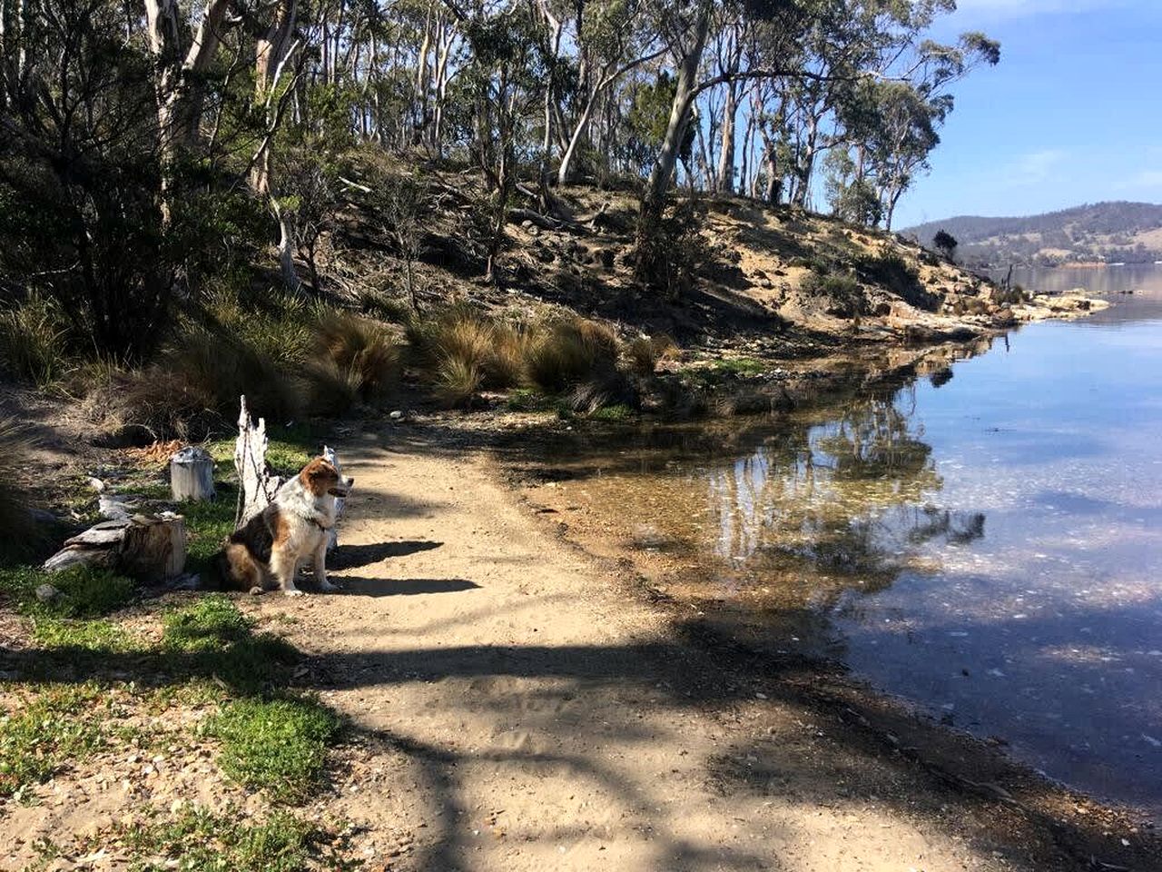 Banyula Cove in North Bruny, Tasmania