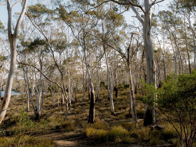Tiny Houses (Australia, North Bruny, Tasmania)