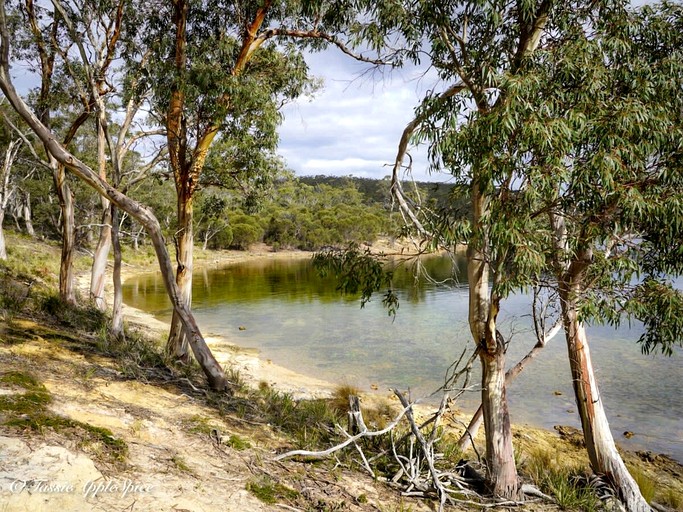 Tiny Houses (Australia, North Bruny, Tasmania)