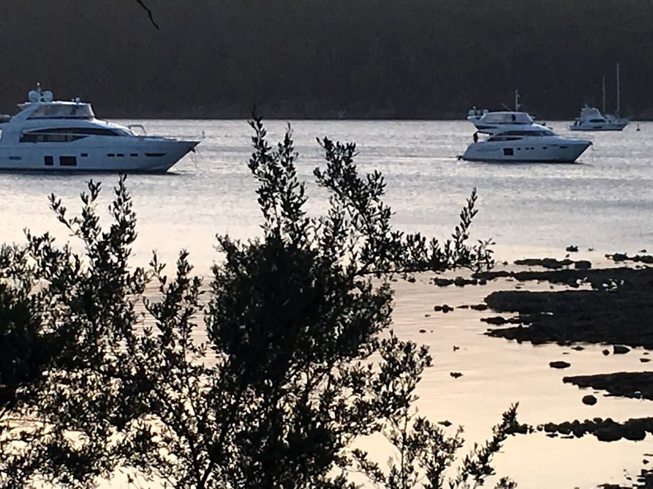 Banyula Cove in North Bruny, Tasmania