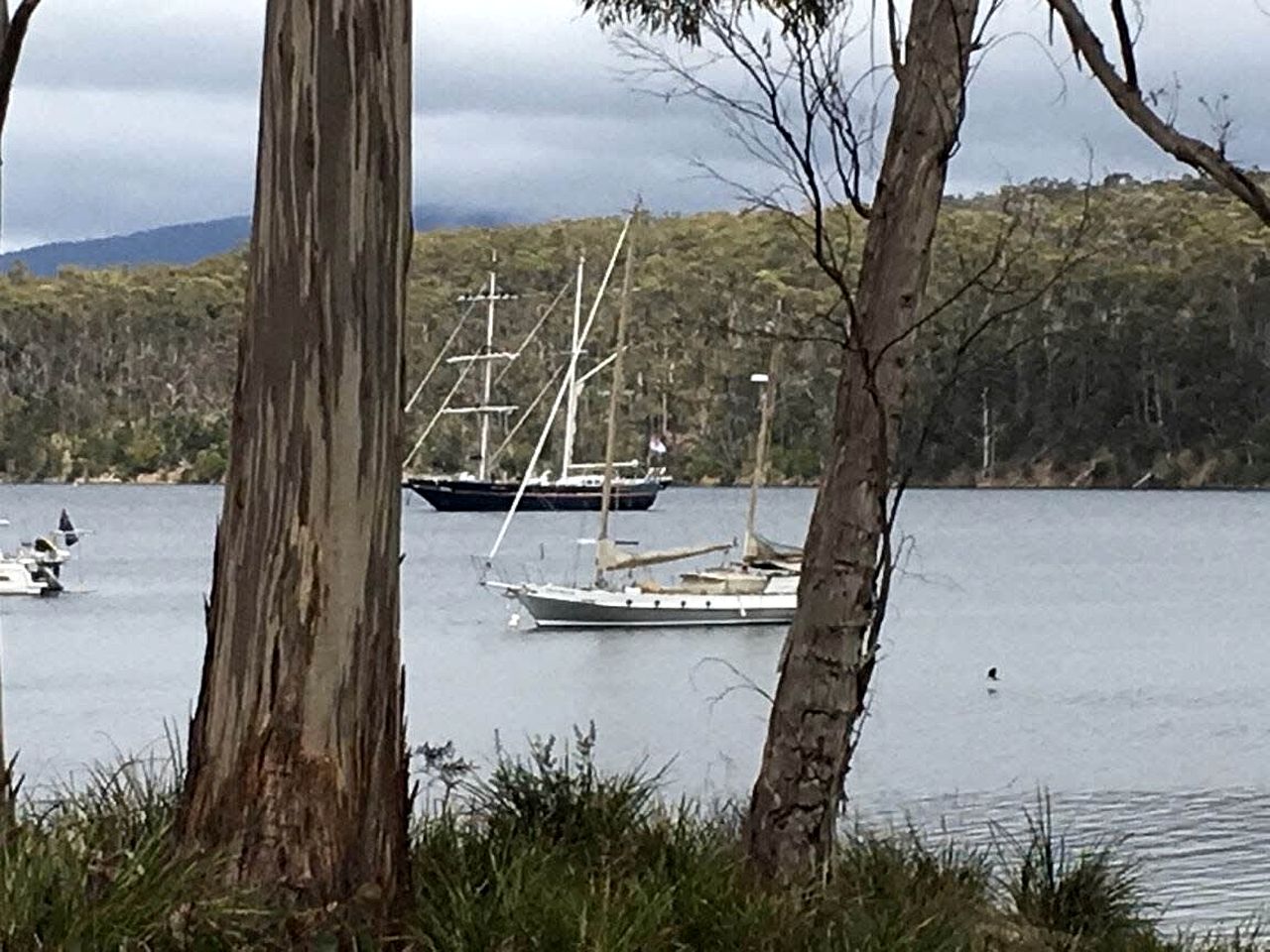 Banyula Cove in North Bruny, Tasmania