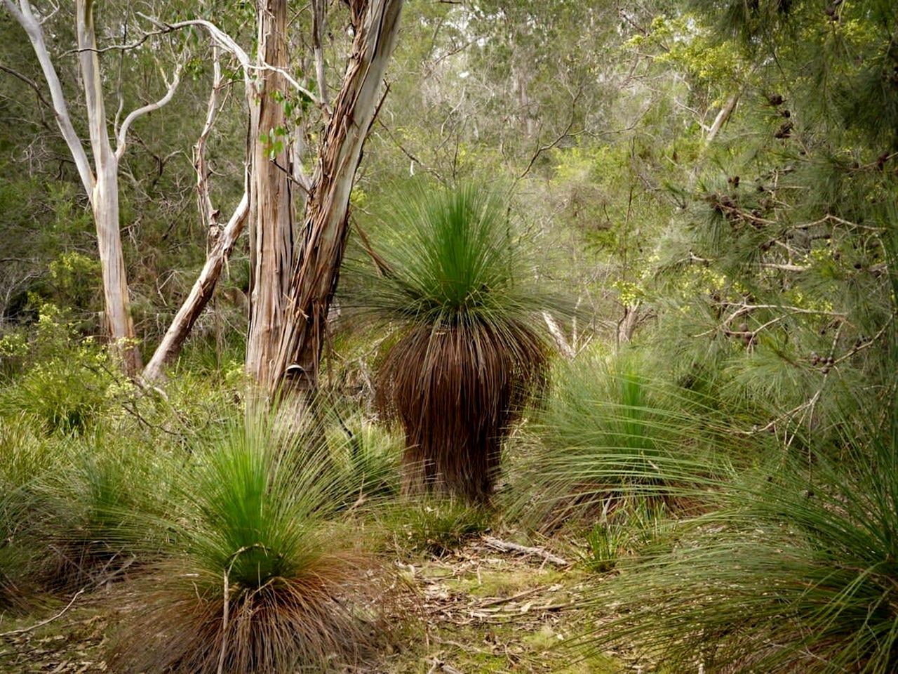 Banyula Cove in North Bruny, Tasmania