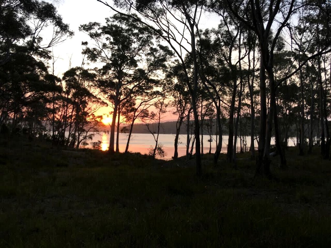 Banyula Cove in North Bruny, Tasmania