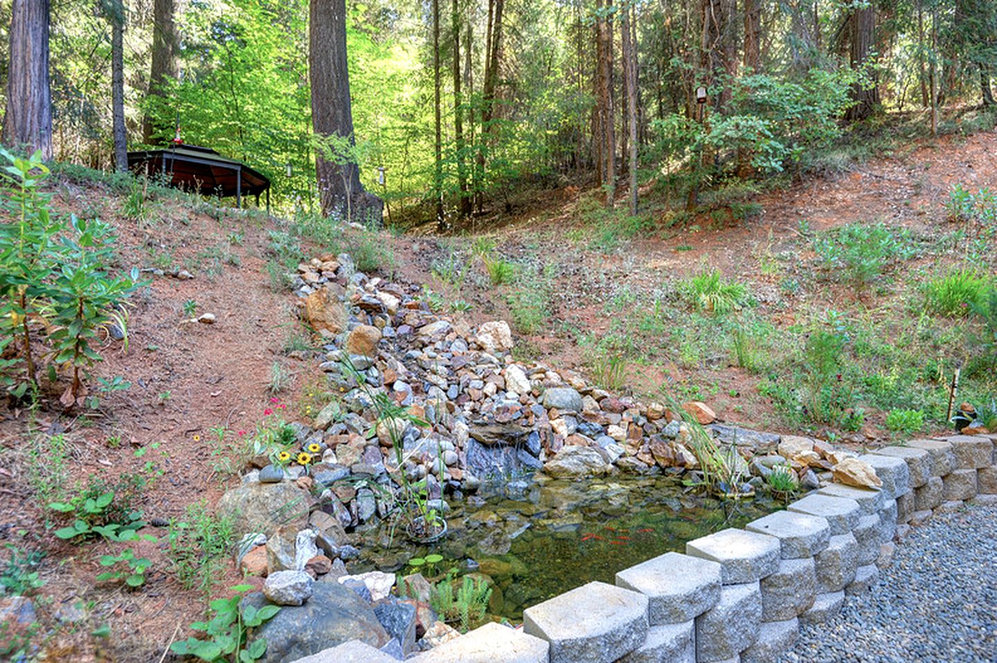 Secluded Mountain Vacation Rental Perfect for Couples on Two Acres in Camino, California