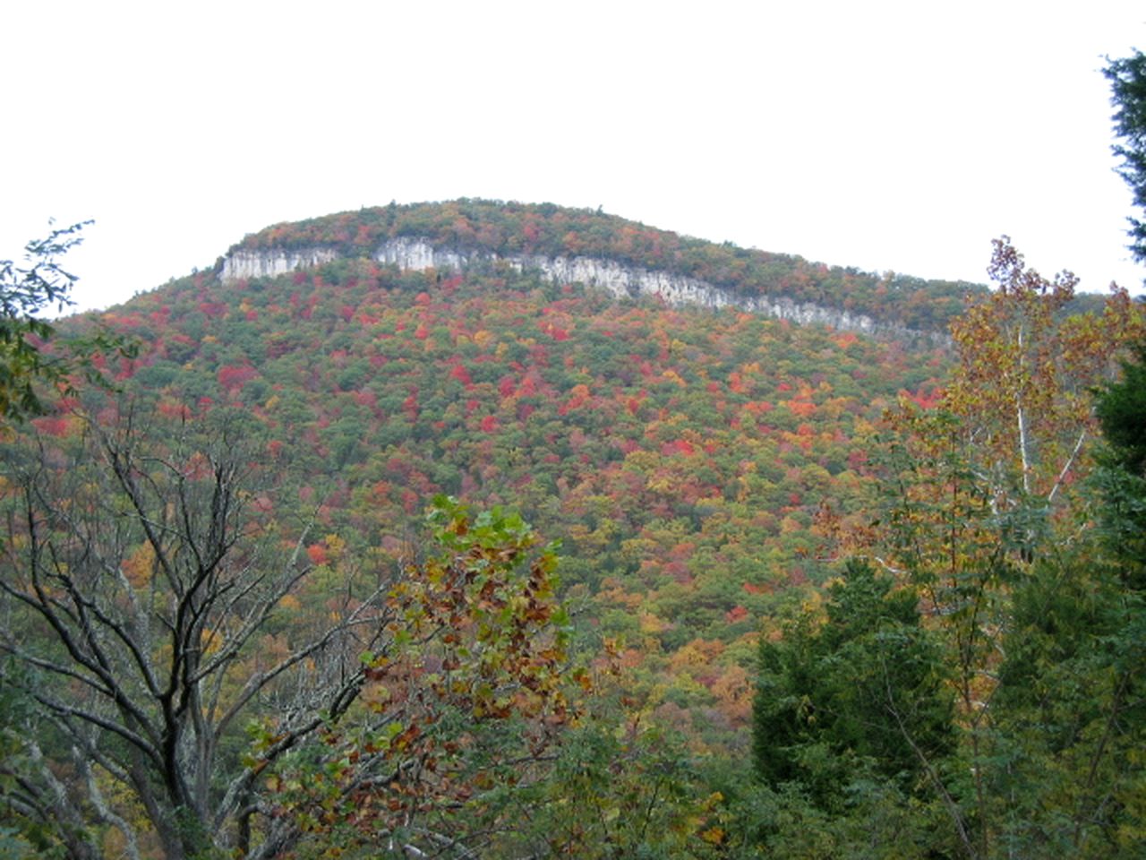 Getaway near Monongahela National Forest, West Virginia