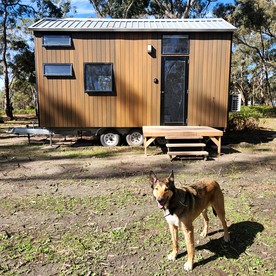 Amazing Tiny House Surrounded by Trees in Dadswells Bridge, Victoria - Photo 3