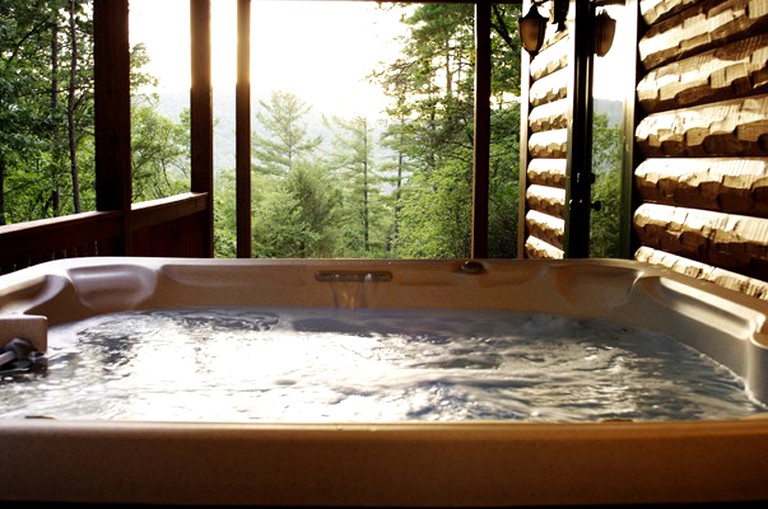 Cabins (Blue Ridge, Georgia, United States)