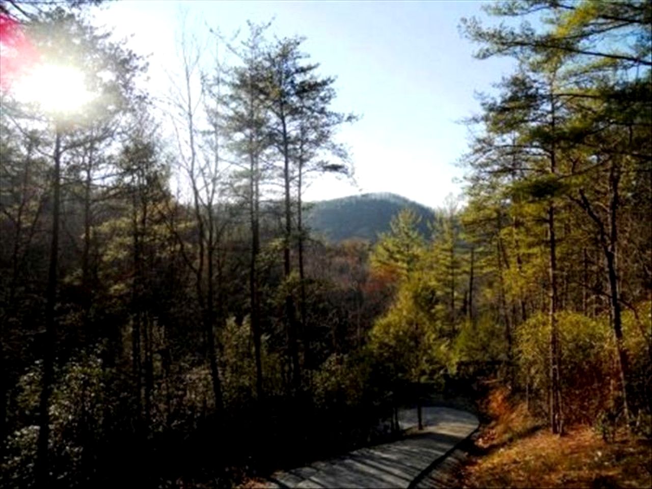 Secluded Cabin Rental with Hot Tub Overlooking Stunning Forest in Blue Ridge, Georgia