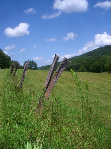 Cabins (Blue Ridge, Georgia, United States)