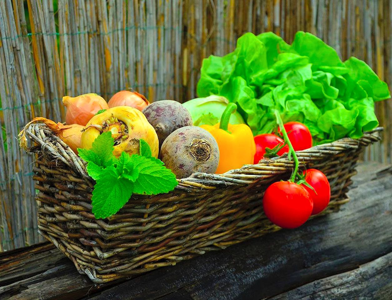 Gorgeous Family-Friendly Cabin Rental in the Pyrenees Mountains, Catalonia