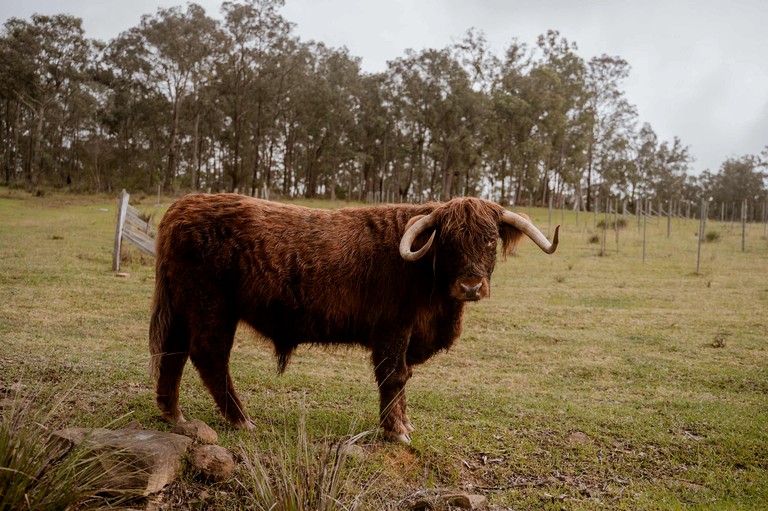 Tiny Houses (Australia, Howes Valley, New South Wales)