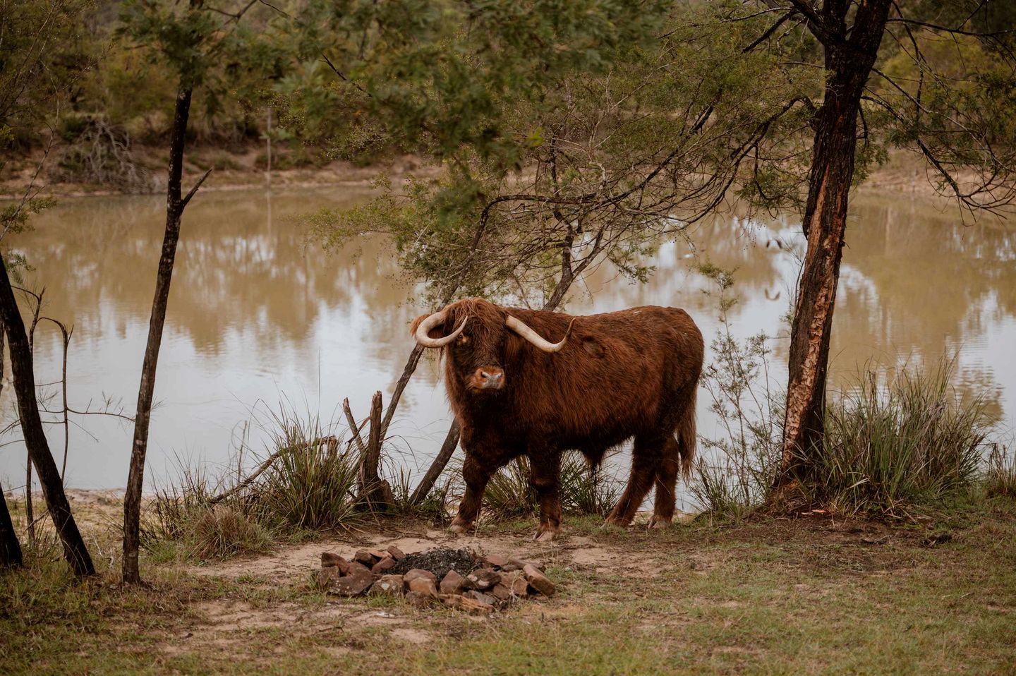 Pet-Friendly NSW Glamping Retreat with Mountain Views