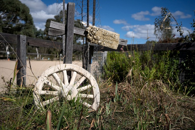 Tiny Houses (Australia, Braidwood, New South Wales)