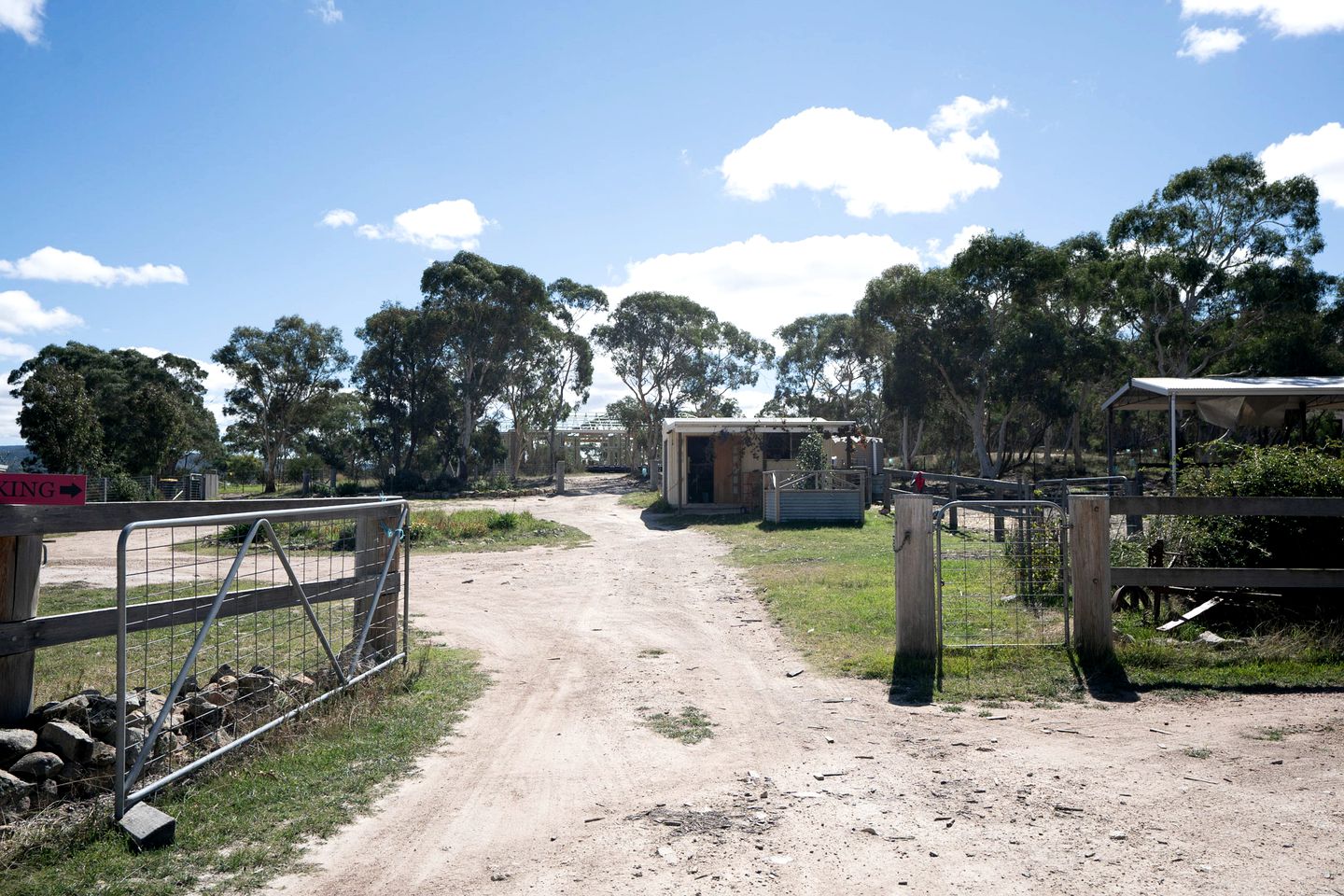 Lovely Pet-Friendly NSW Tiny Home with Horse Riding