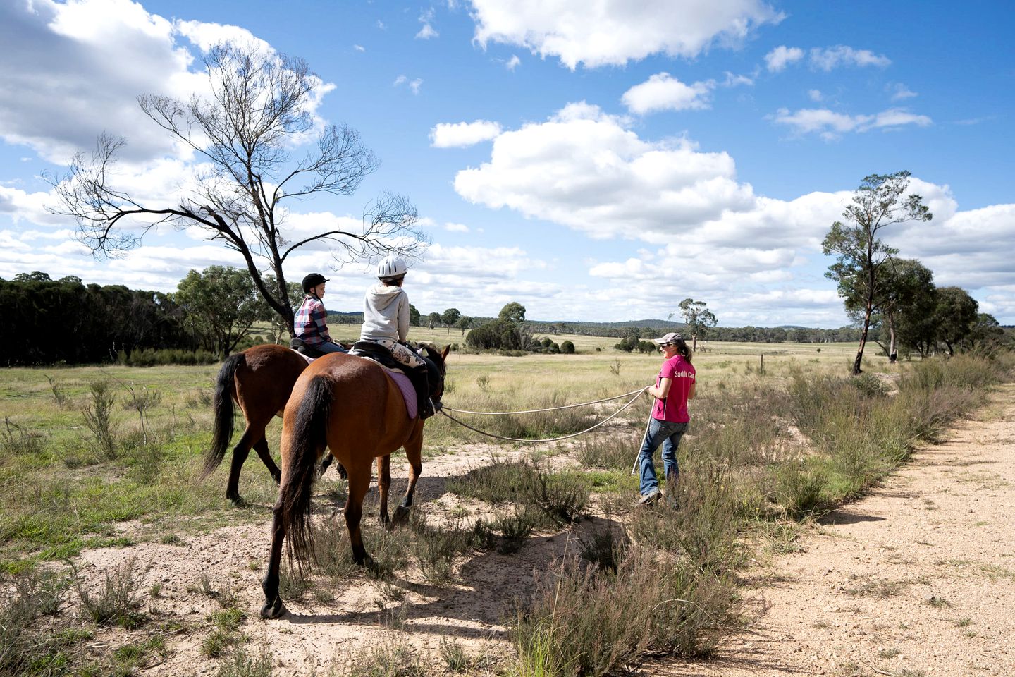 Lovely Pet-Friendly NSW Tiny Home with Horse Riding