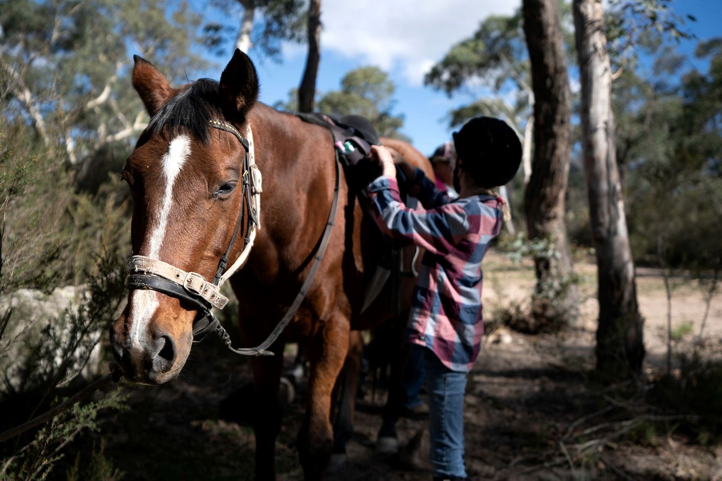 Lovely Pet-Friendly NSW Tiny Home with Horse Riding