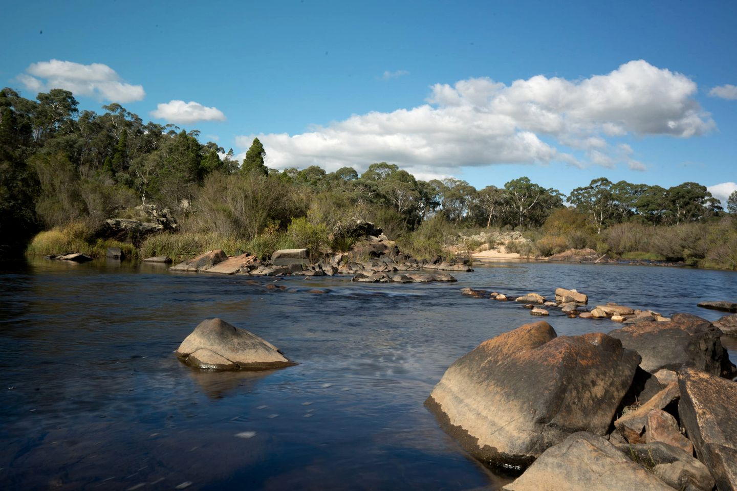 Lovely Pet-Friendly NSW Tiny Home with Horse Riding