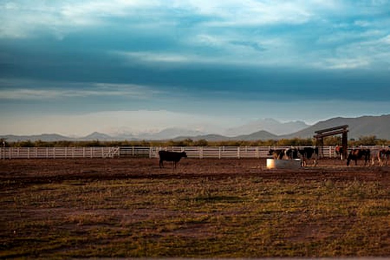 Domes (United States of America, Willcox, Arizona)