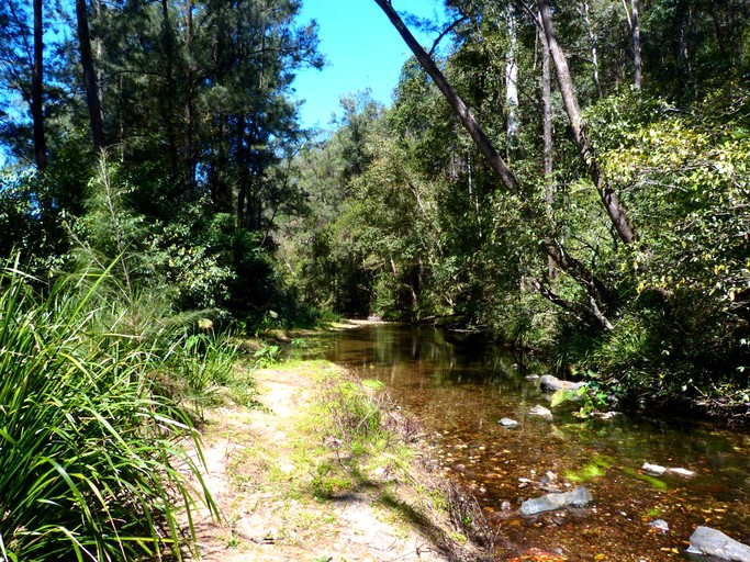 Cabins (Bellbrook, New South Wales, Australia)
