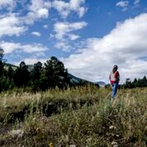 Vacation Rentals (United States of America, San Miguel County, New Mexico)
