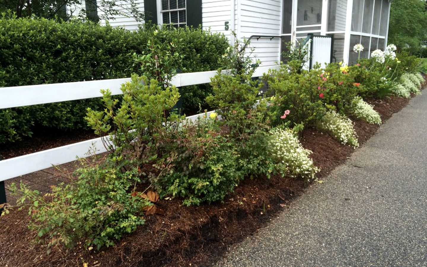 Romantic Cottage for Two by the Mississippi River in Vacherie, Louisiana