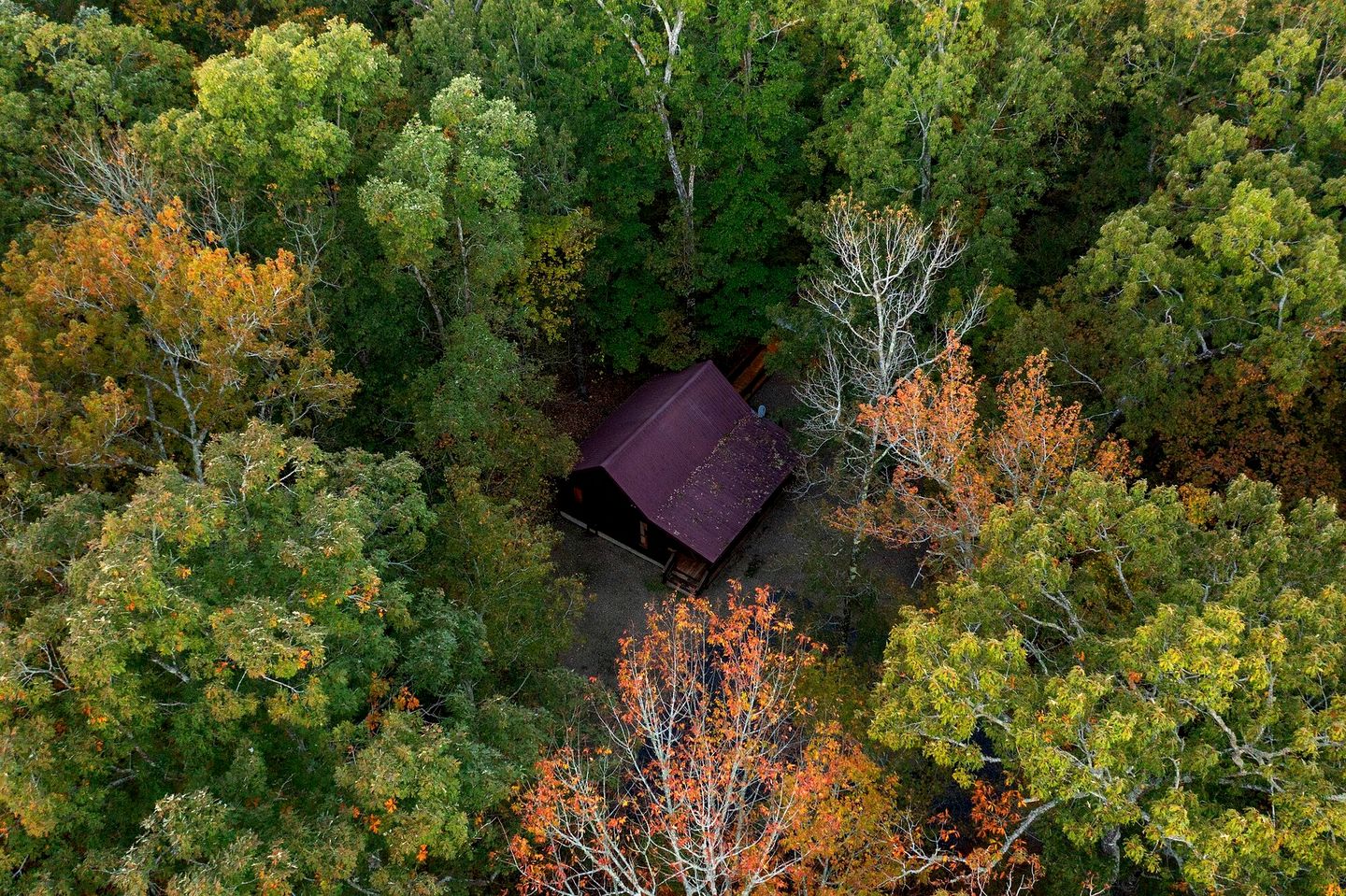 Romantic 1-Bedroom Cabin with Fireplace, Hot Tub & Nature Views Near Broken Bow
