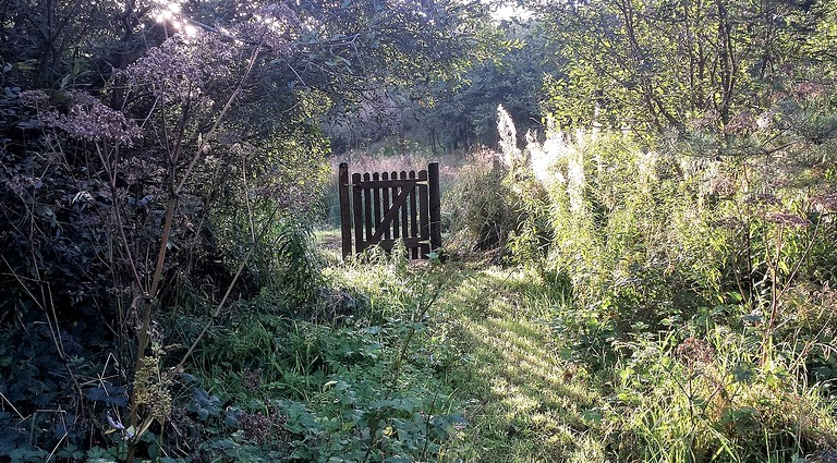 Yurts (Ceredigion, Wales, United Kingdom)