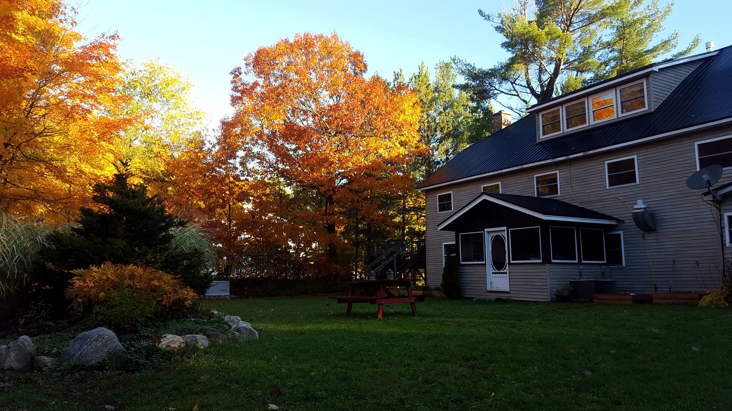 Idyllic Retreat for Two on the Bank of Hawk Lake Ontario, Canada