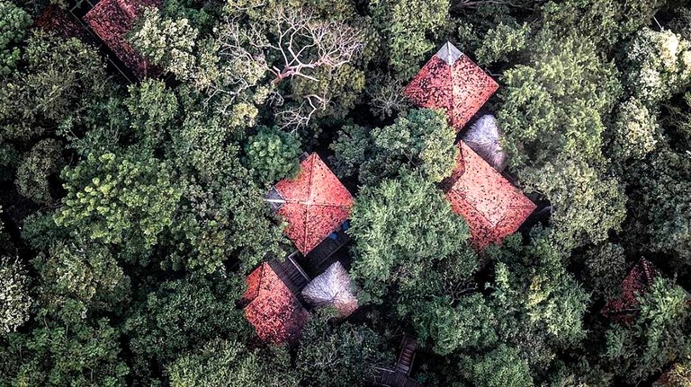 Tree Houses (Tola, Rivas, Nicaragua)