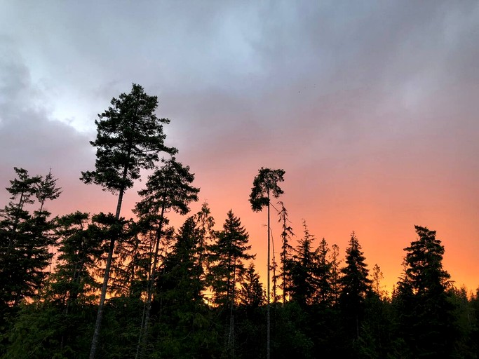 Vacation Rentals (Canada, --, --)