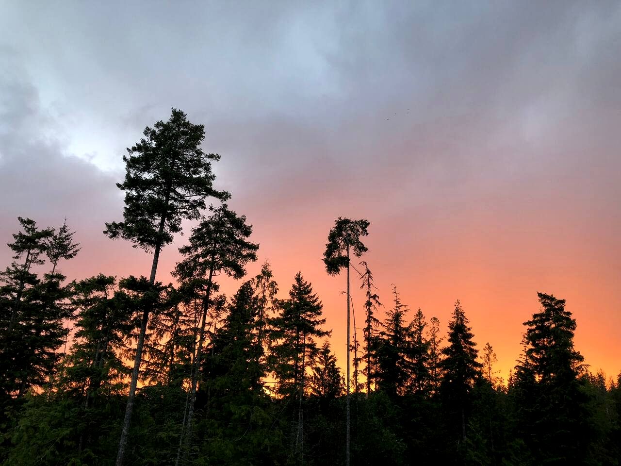 Rustic Cottage with Ocean and Mountain Views near Halfmoon Bay, British Columbia