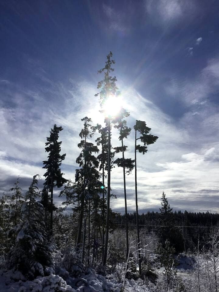 Rustic Cottage with Ocean and Mountain Views near Halfmoon Bay, British Columbia