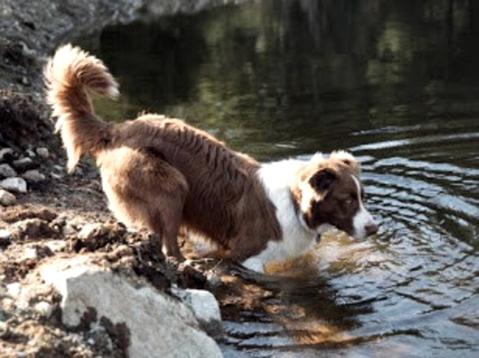 Vacation Rentals (Canada, --, --)