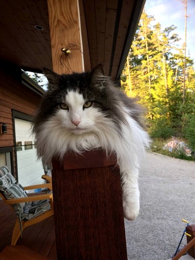 Vacation Rentals (Canada, --, --)