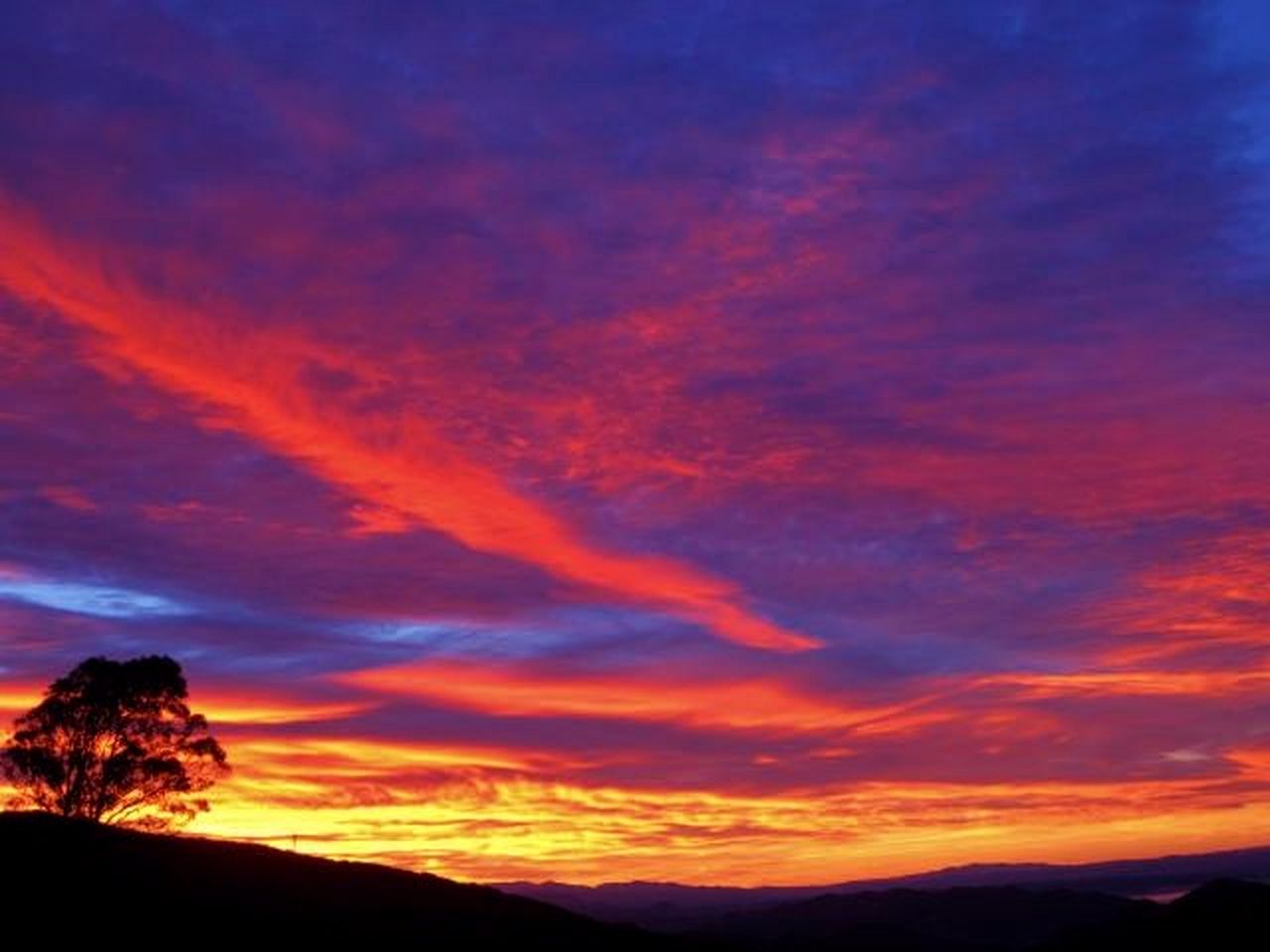 Vacation Rental near San Luis Obispo, California